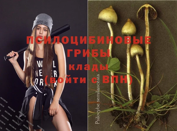 ПСИЛОЦИБИНОВЫЕ ГРИБЫ Алексин