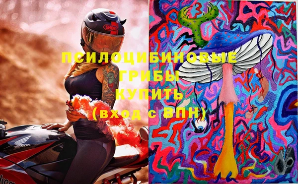 герыч Няндома