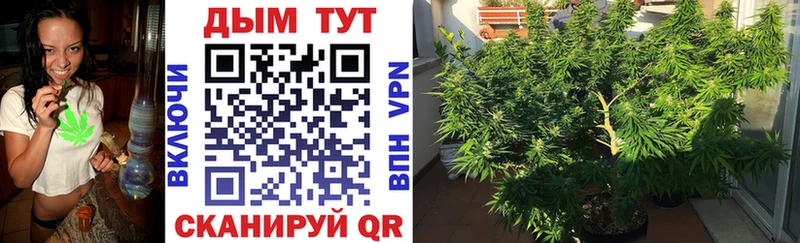 Канабис ГИДРОПОН  Калач 